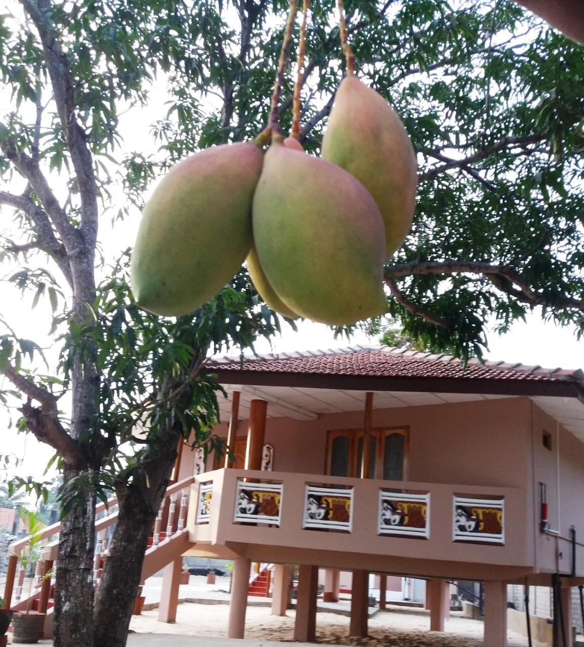 Pesalai Plvillas Exterior photo